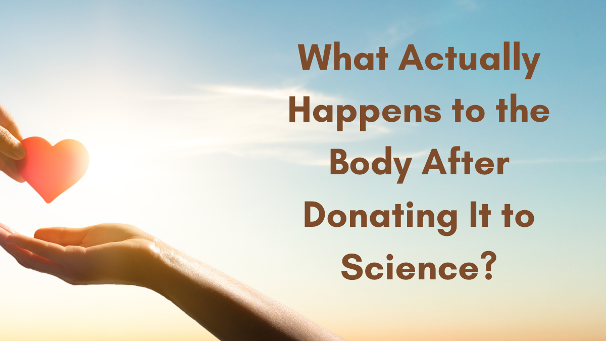 What Actually Happens To The Body After Donating It To Science ...